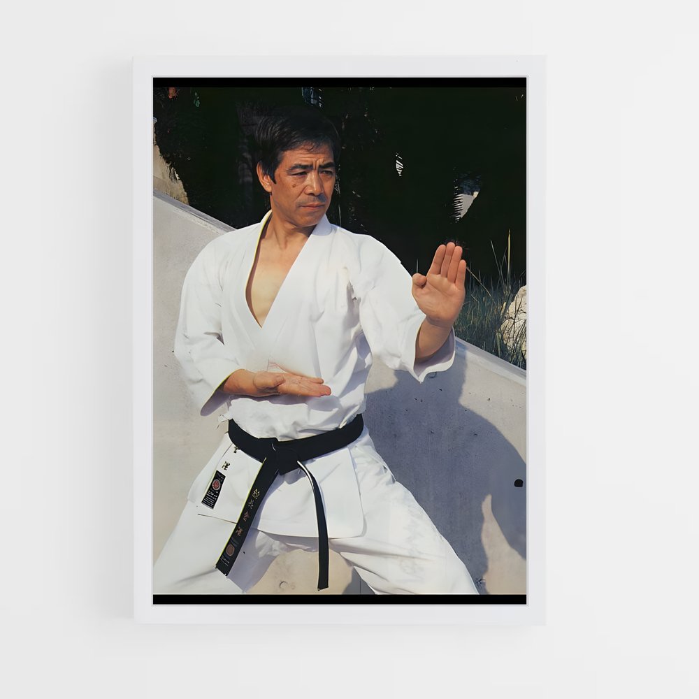 Poster Esprit de Karaté (vue 3)